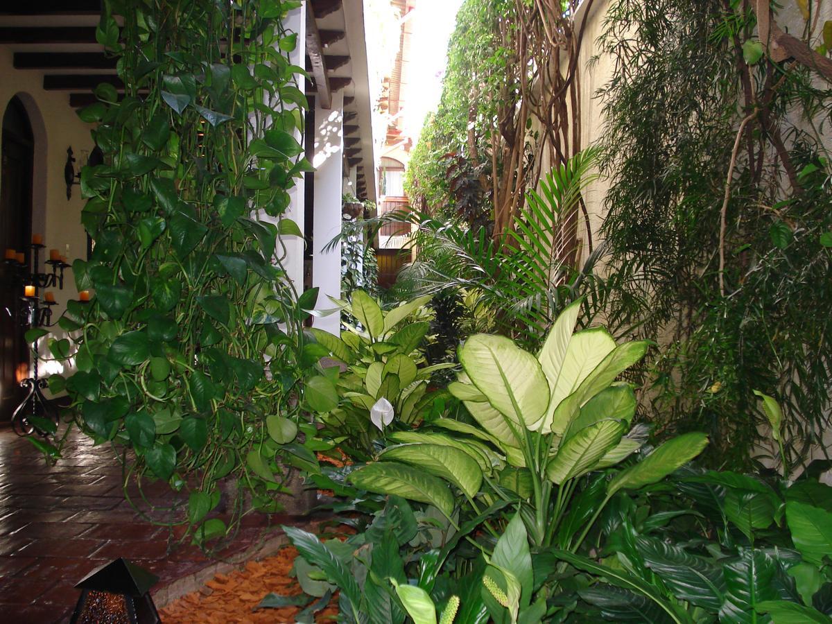 Casa Florencia Hotel Антигуа-Гватемала Экстерьер фото
